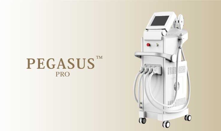 業務用脱毛機　Pegasus Pro