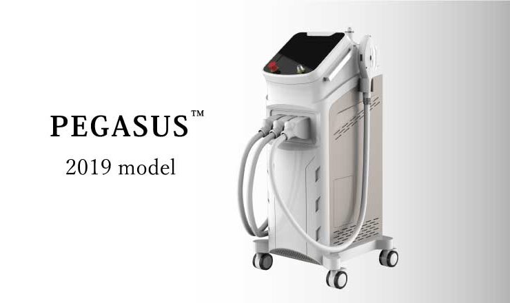 業務用脱毛機 Pegasus　Pegasus2019